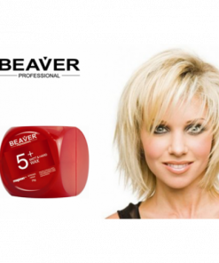 sap-tao-kieu-toc-beaver
