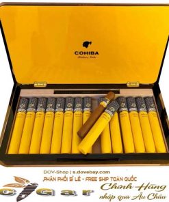 xi-ga-cuba-Siglo-VI-Tubos-Humidor