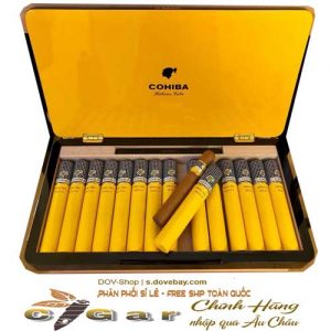 xi-ga-cuba-Siglo-VI-Tubos-Humidor