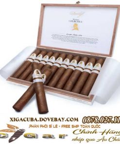 xi-ga-davidoff-winston-churchill-gia-re