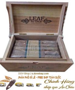 xi-ga-leaf-by-oscar-box-20-dieu