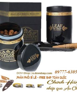 xi-ga-leaf-by-oscar-no-1-pa-spease-selection-1