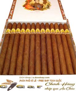 xi-ga-mini-cao-cap-bolivar-coronas-gigantes